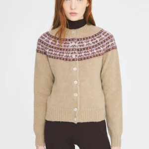 Cardigan Shetland Erwan