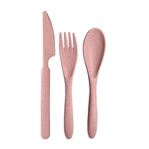 Couverts Réutilisables en Paille de Blé – Rose