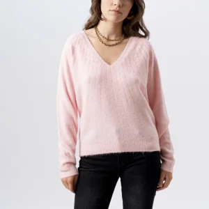 Pull Stockholm Rose